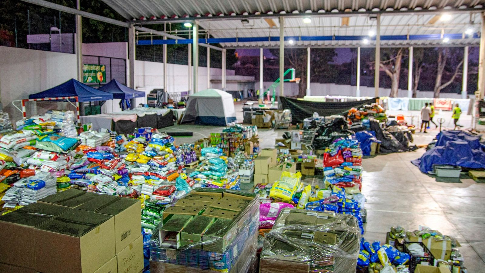 La Oficina de Atención al Ciudadano de La Palma ha atendido ya a 800 personas en 15 días 