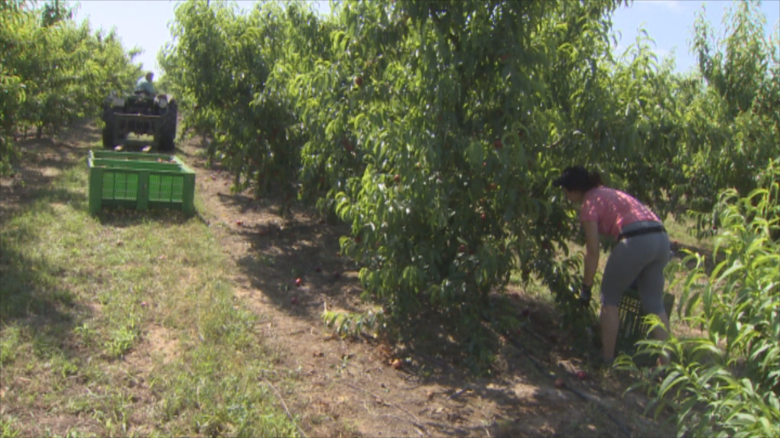 El 25% de las explotaciones aragonesas son propiedad de mujeres