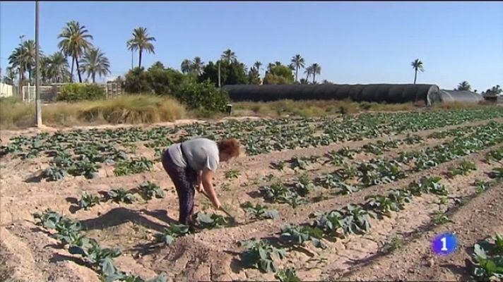 Las mujeres representan más del 40% de la fuerza laboral agrícola