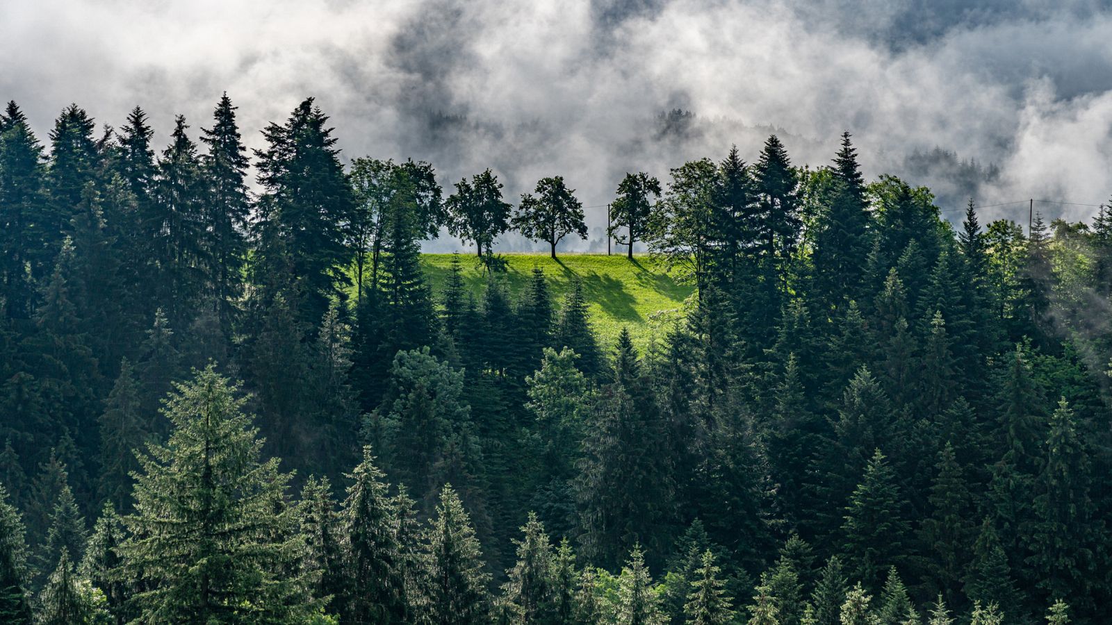 Turismo rural en Europa - Episodio 2: Selva negra, el pulmón de Alemania - ver ahora