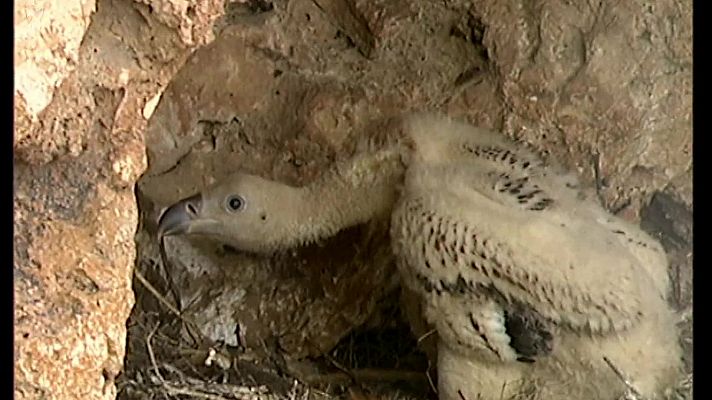 El universo escondido - El Reino de las tinieblas
