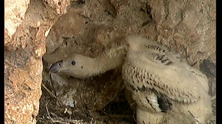 El universo escondido - El Reino de las tinieblas