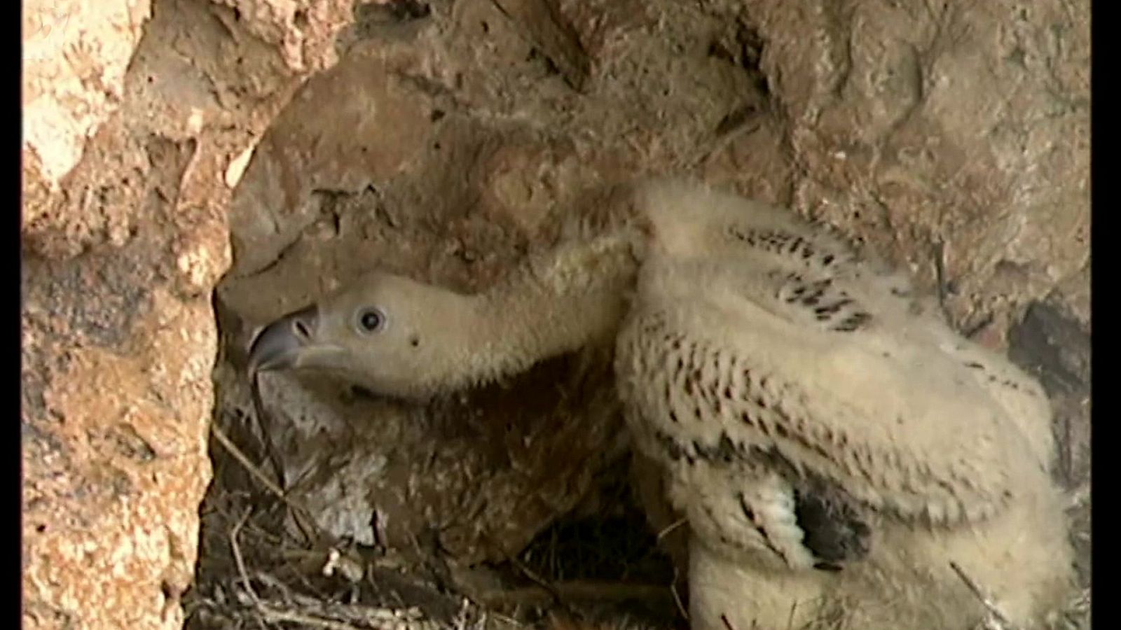 El universo escondido - Episodio 24: El Reino de las tinieblas - ver ahora