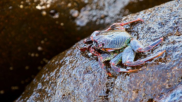El universo escondido - El ritmo de las olas