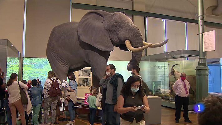 El Museo de Ciencias Naturales cumple 250 años