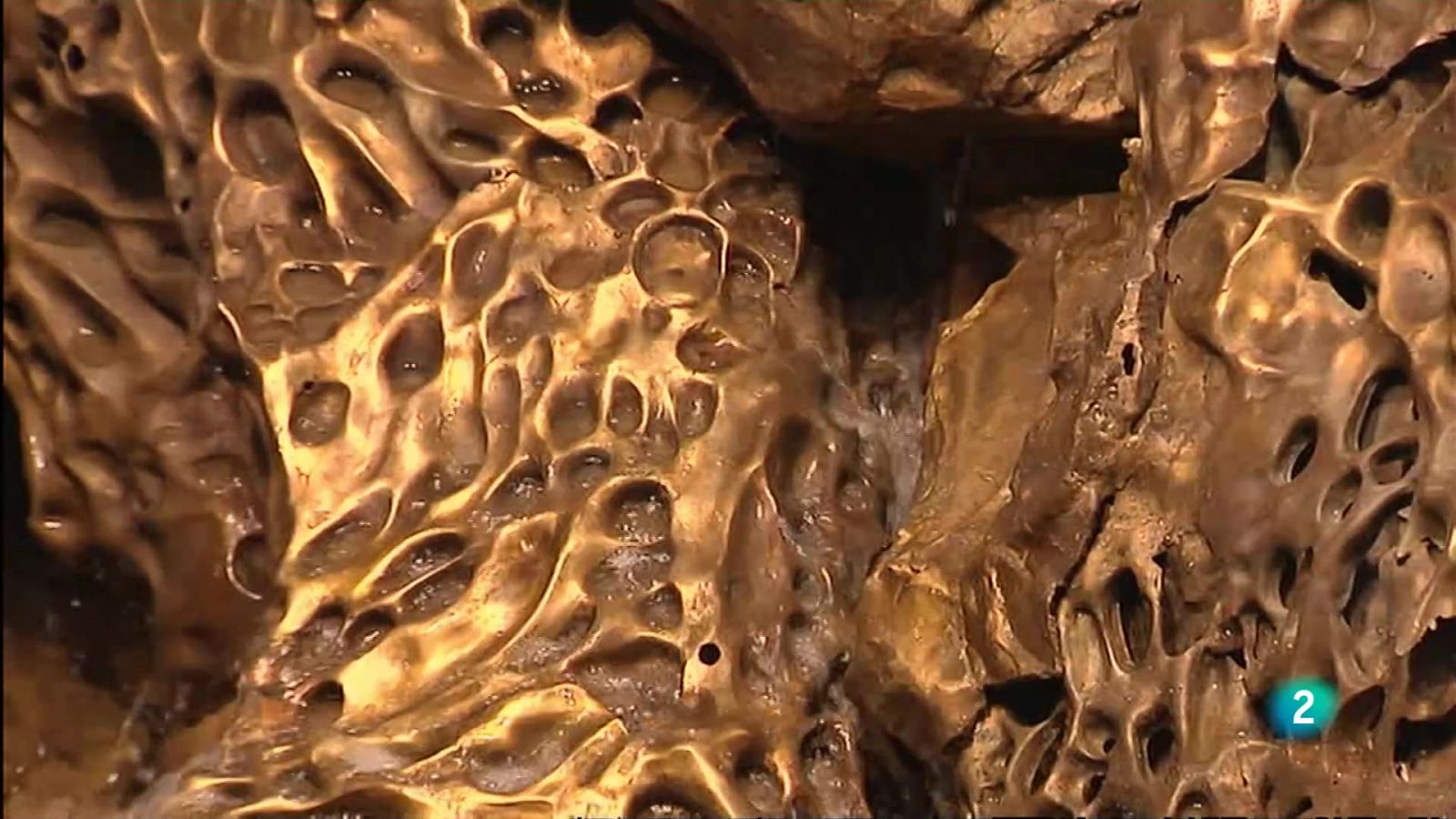 La aventura del saber - Hondalea | Ver