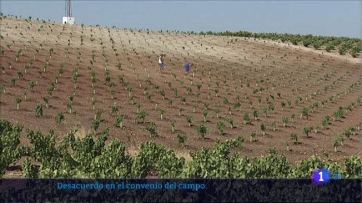 Desacuerdo en el Convenio del Campo