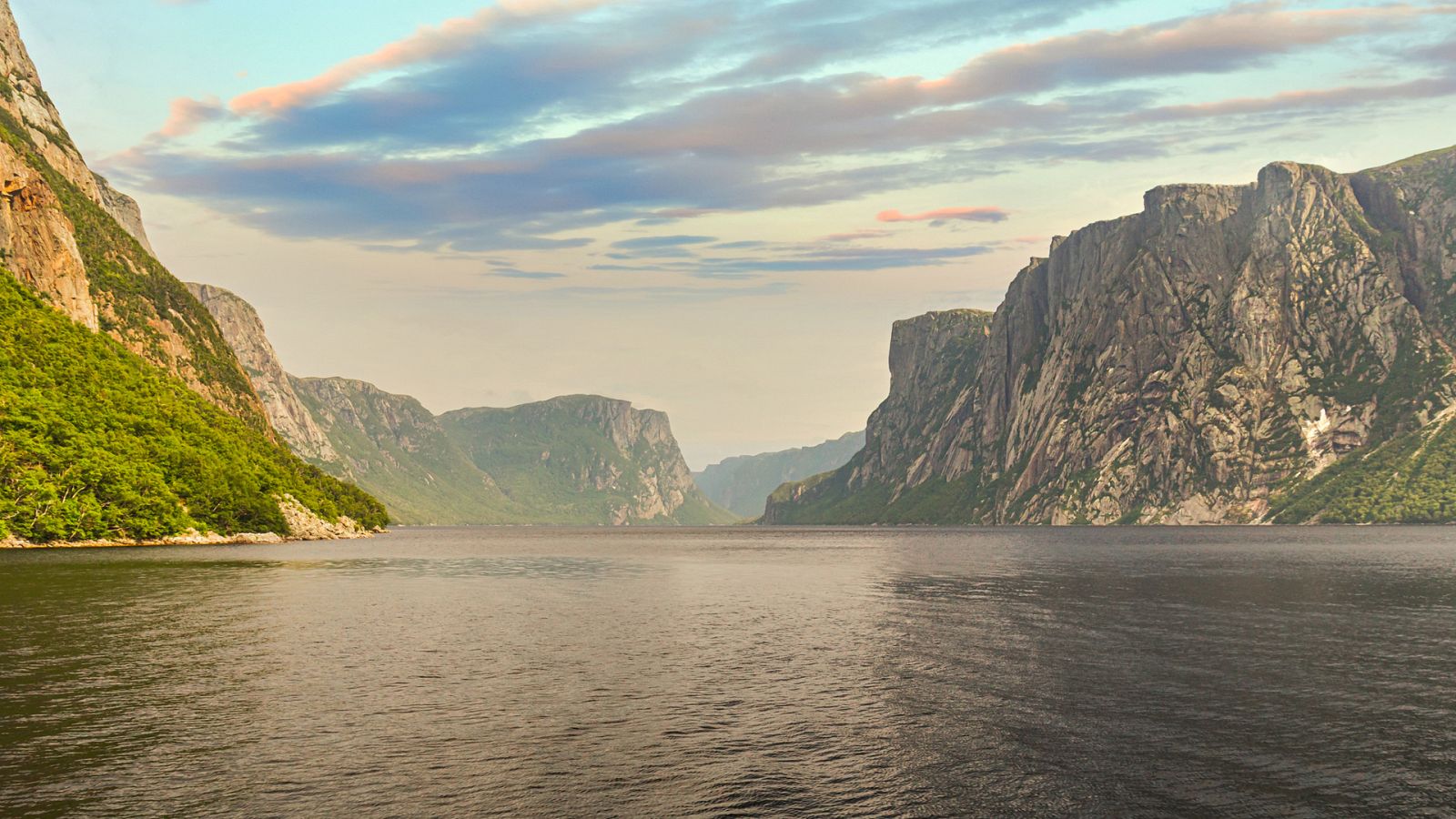 Climas extremos - Episodio 4: Terranova, el lugar con más niebla - ver ahora