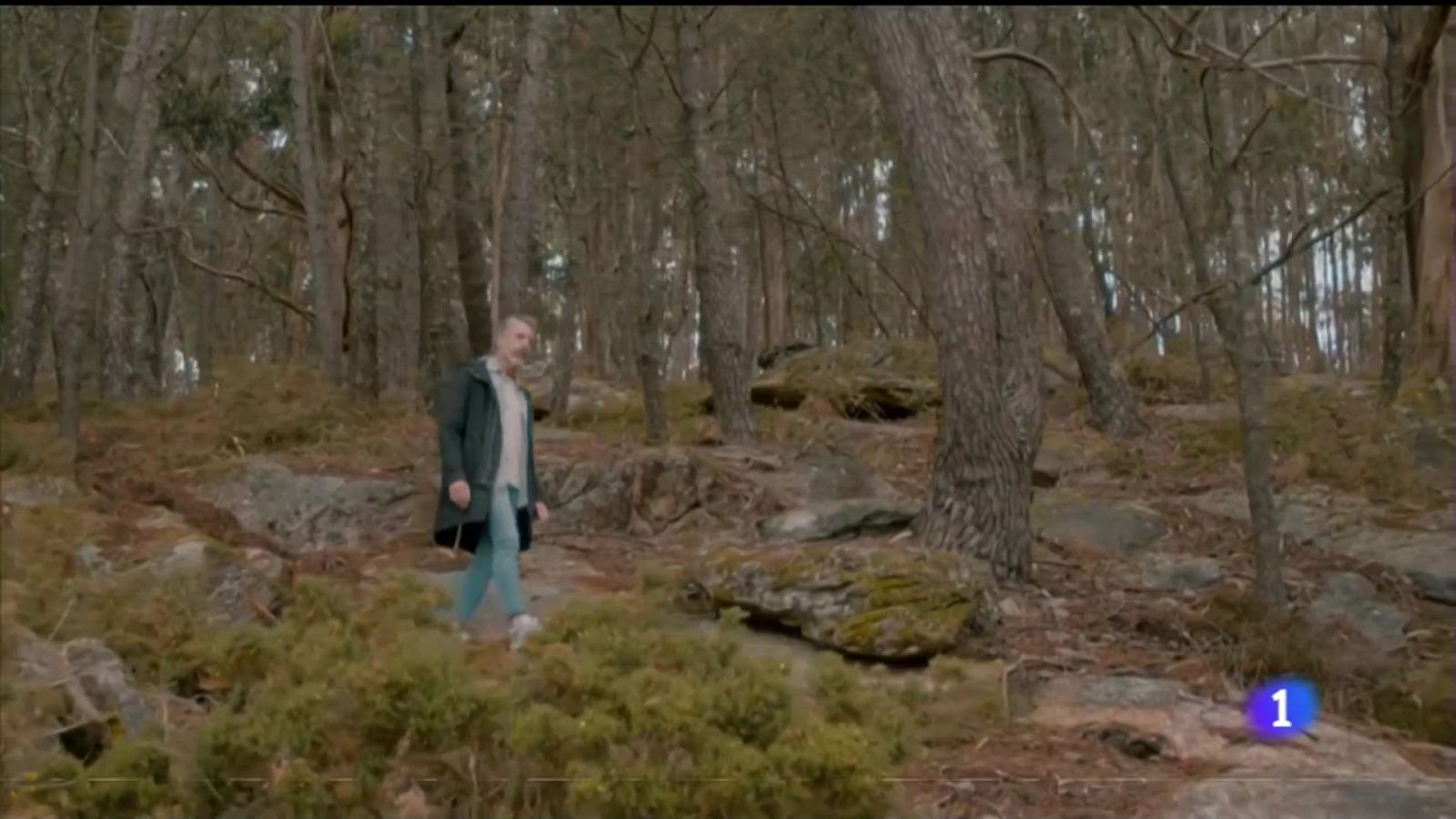 Aprender a comer ben