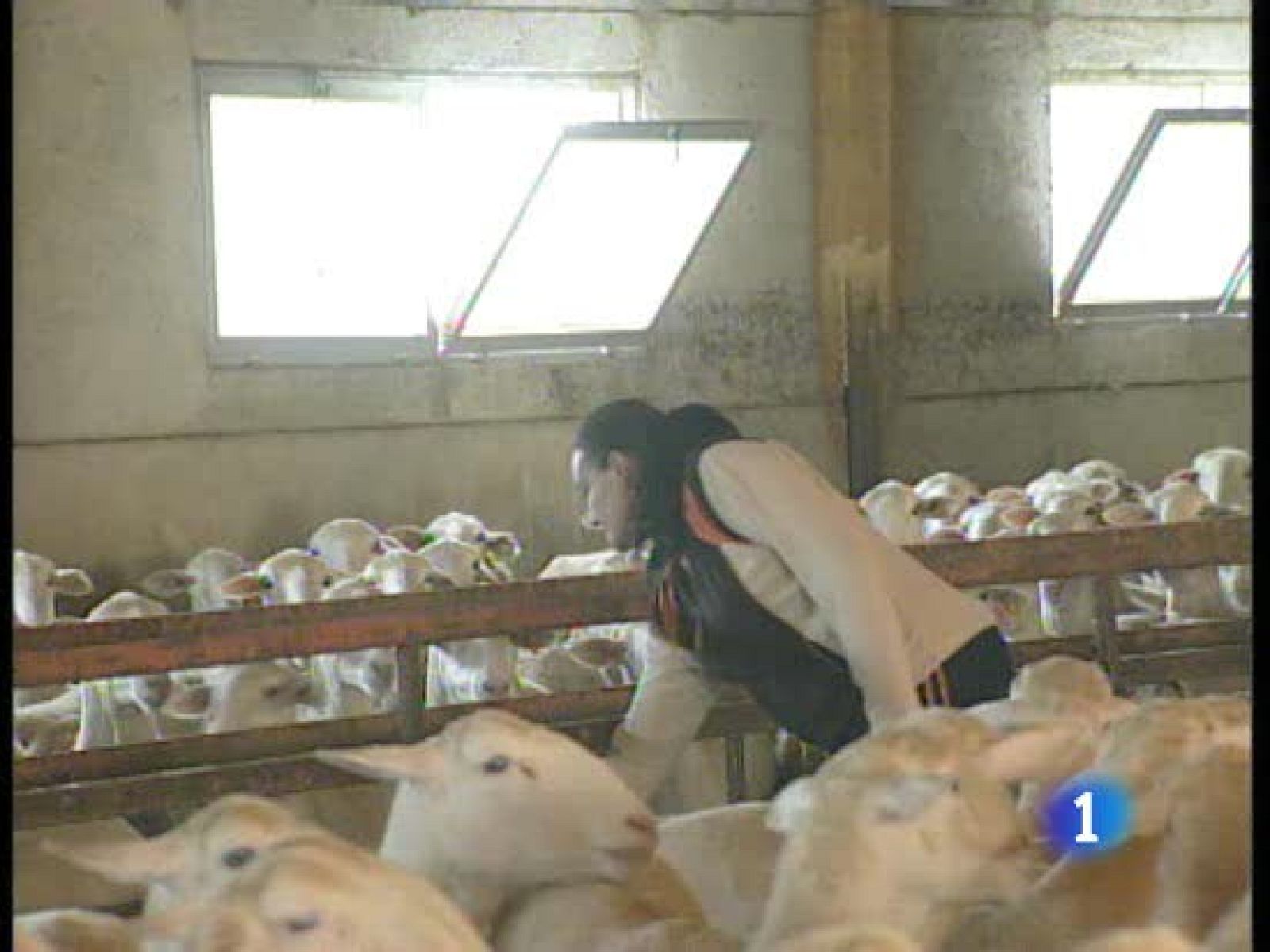 Poco más de 24 horas para que cien ciudadanos vuelvan a tomar la palabra en el programa "Tengo una pregunta para usted" | Ver