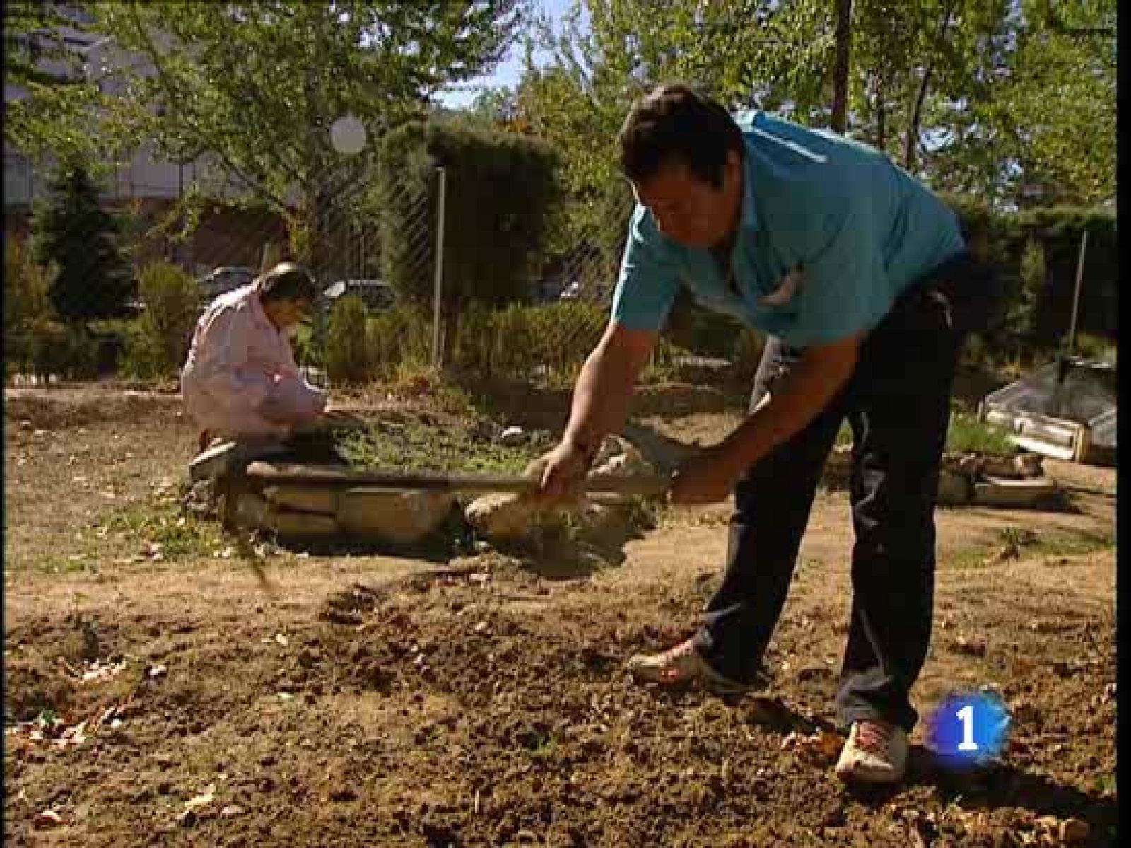 Hoy es el Día Mundial del daño cerebral - Ciencia y tecnología en Rtve.es | Ver