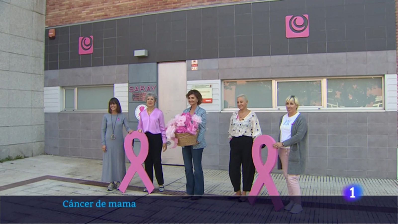 Navarra busca una vacuna para el cáncer de mama - Telenavarra | Ver