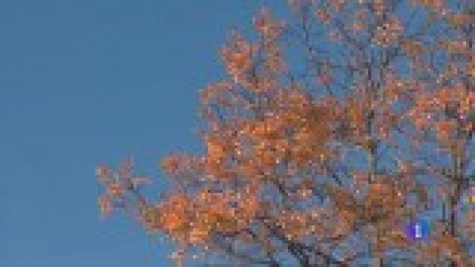 El tiempo en Asturias - 19/10/21 | Ver