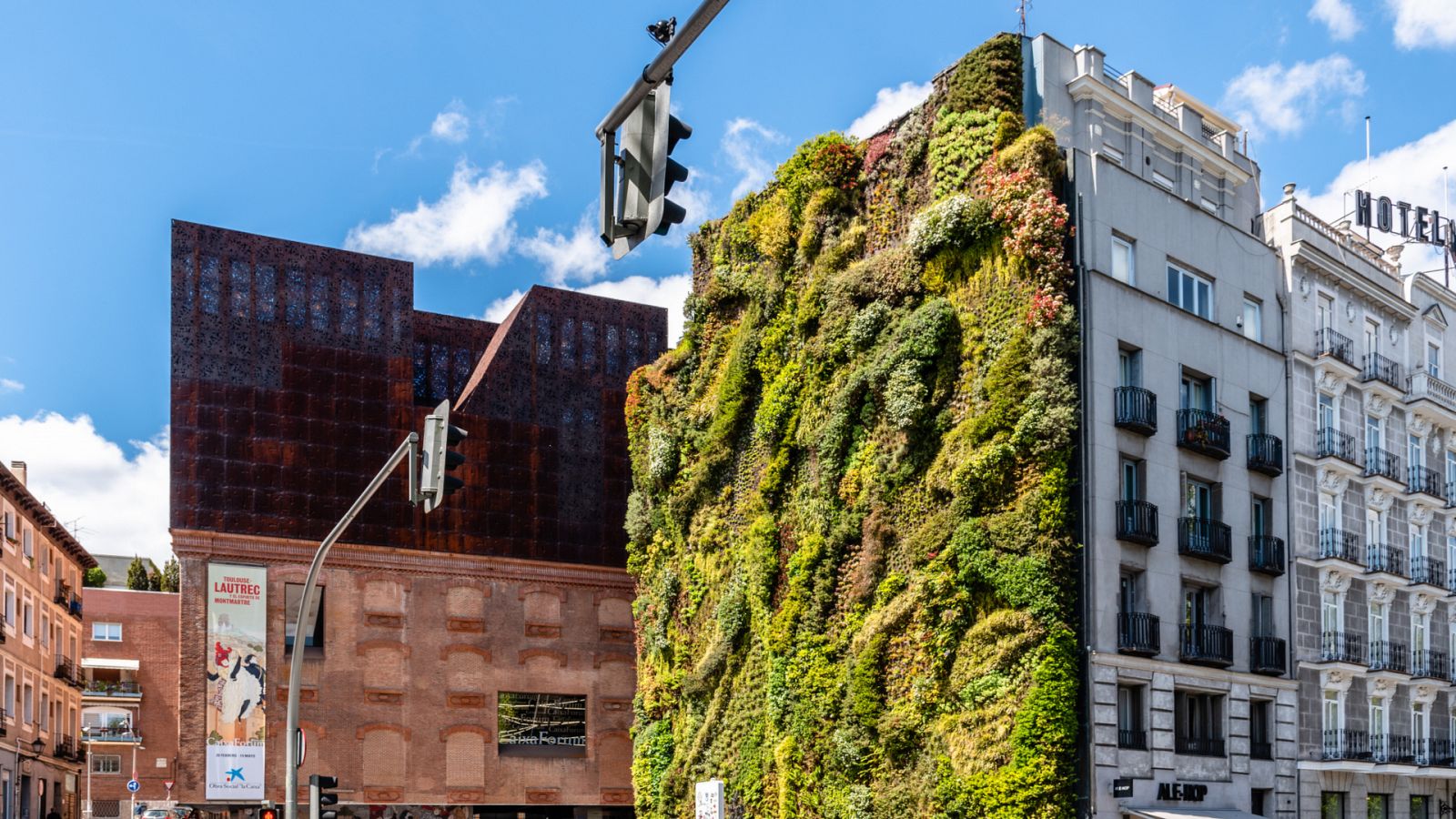 ¿Cómo se hace un jardín vertical? La nueva moda en jardinería