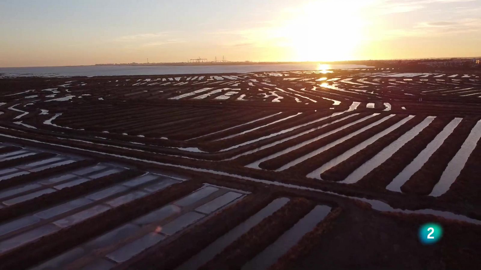 La aventura del saber - Los tesoros de la salina - Ver ahora