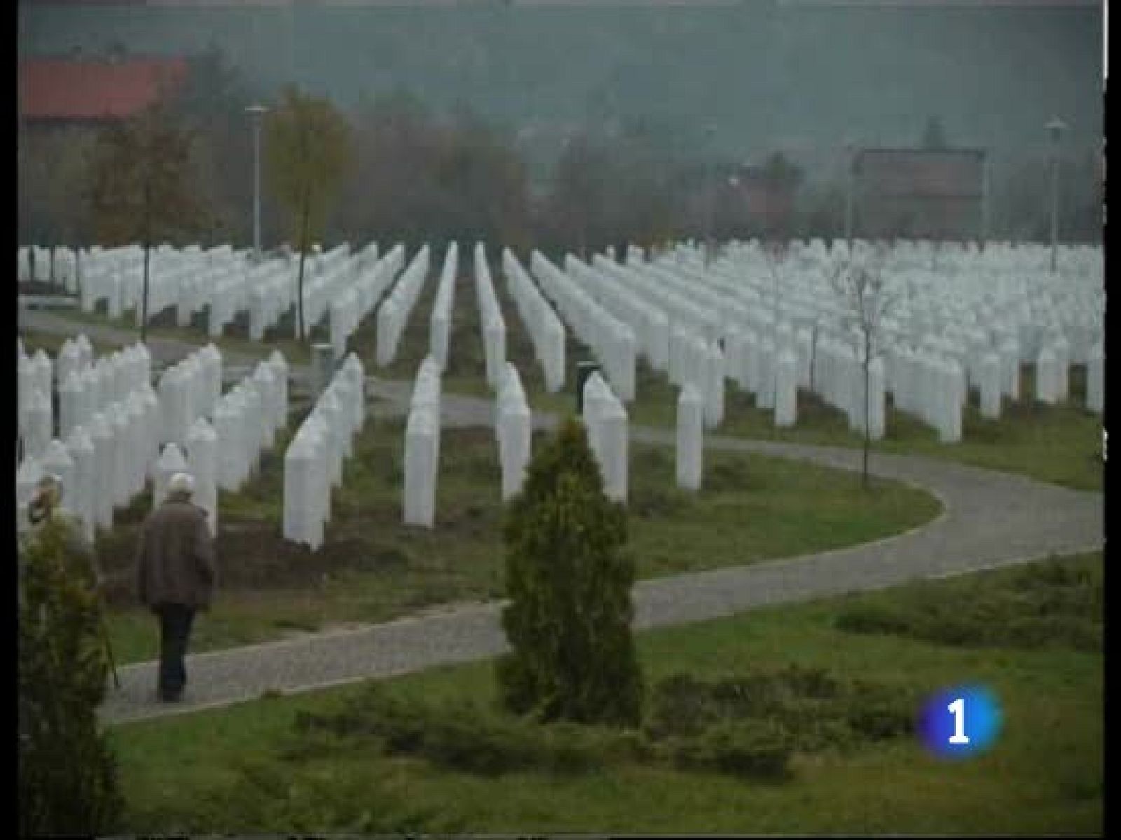 Serbia entregó en 2008 a Karadzic, el organizador del genocidio según la fiscalía de la Haya | Ver