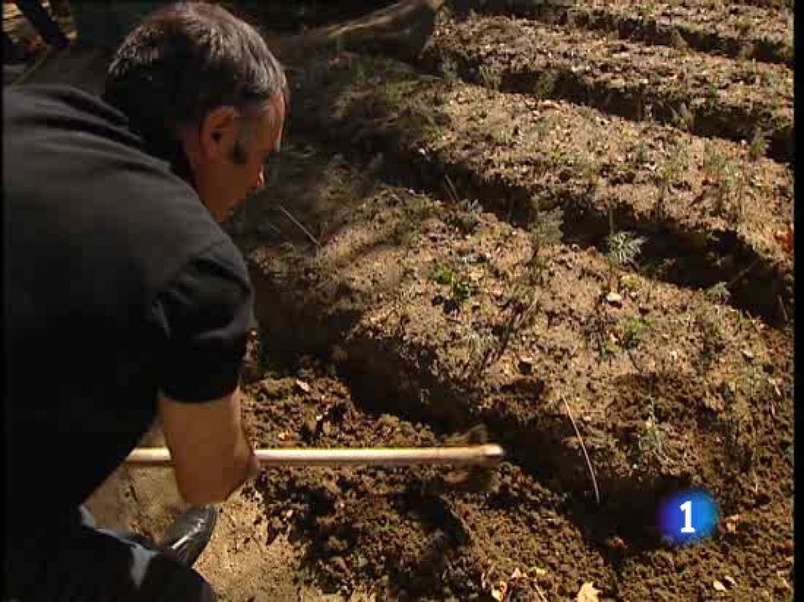Trescientos mil españoles sufren daño cerebral a consencuencia de un golpe o de un accidente vascular - Ciencia y tecnología en Rtve.es | Ver