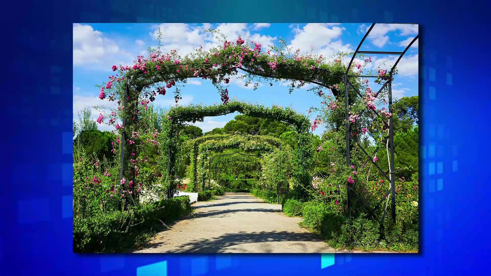 Saber y ganar - 25/10/21 - ver ahora