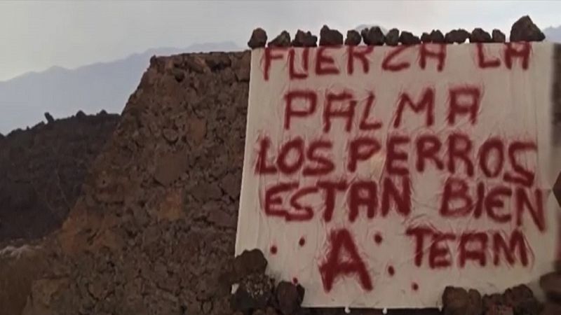 Un misterioso grupo se atribuye el rescate de los perros atrapados por la lava en La Palma