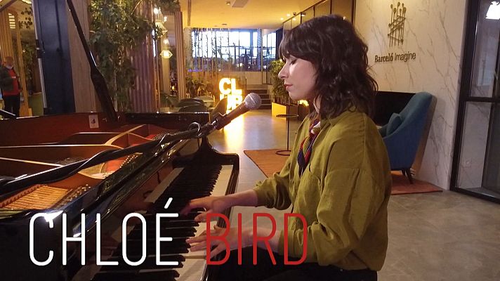 Atención obras - Acústico Chloé Bird