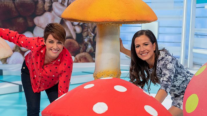 Saber vivir - Las setas, un alimento para quitarse el sombrero