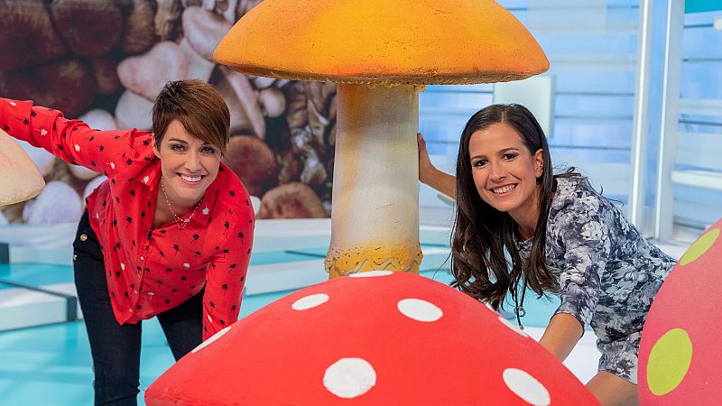 Las setas, un alimento para quitarse el sombrero 