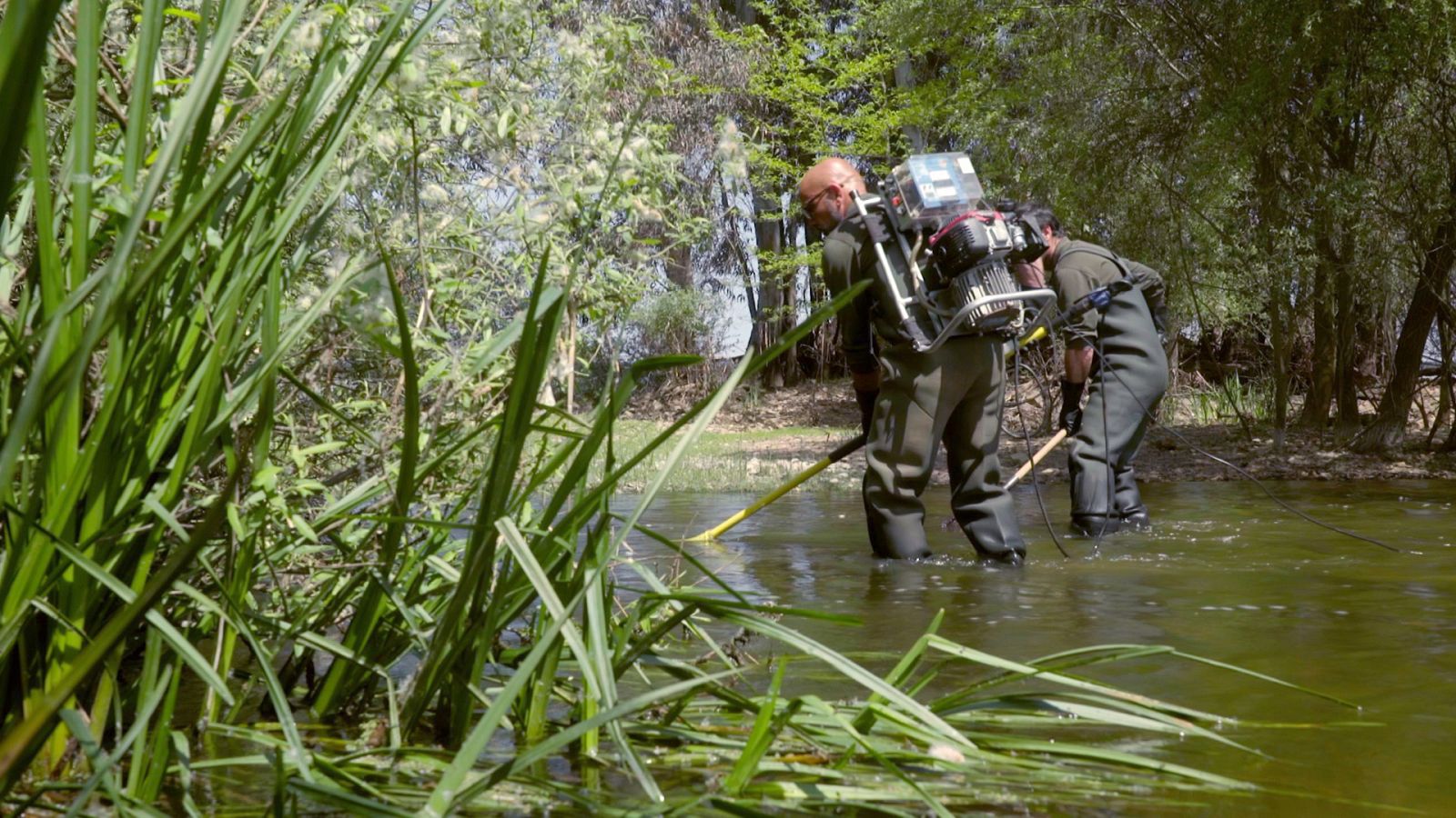 Reduce tu huella - Los invasores del Guadiana - ver ahora