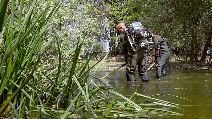 Reduce tu huella - Los invasores del Guadiana