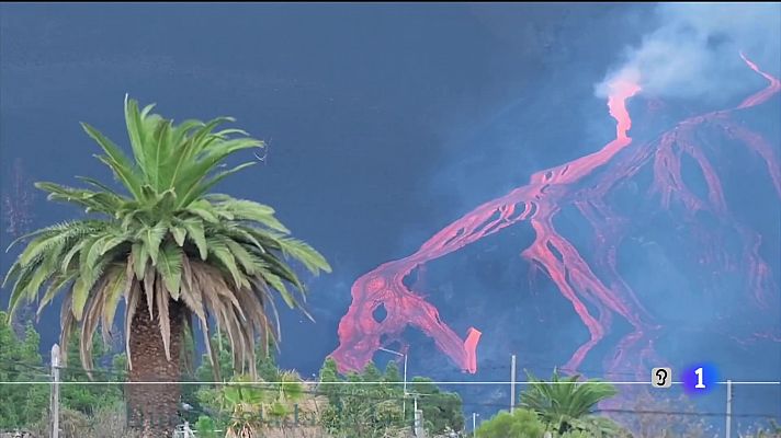 Telecanarias - Telecanarias - 24/10/2021