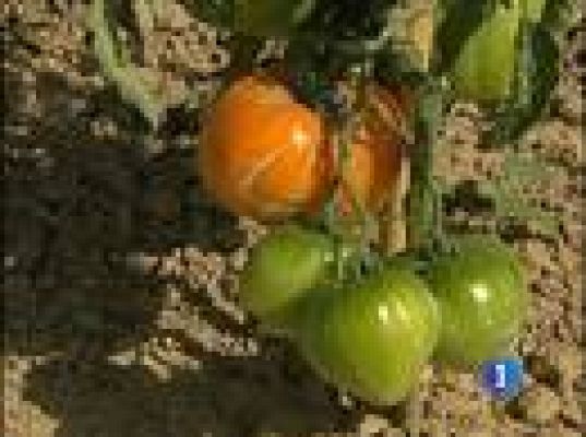  - Plan de urgencia en Francia