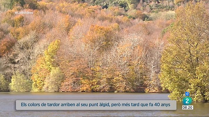  - El canvi del color de les fulles arriba més tard