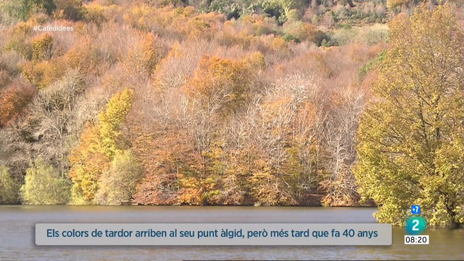 La tardor - El canvi cromàtic de les fulles es retarda respecte ara fa de 30 a 40 anys 