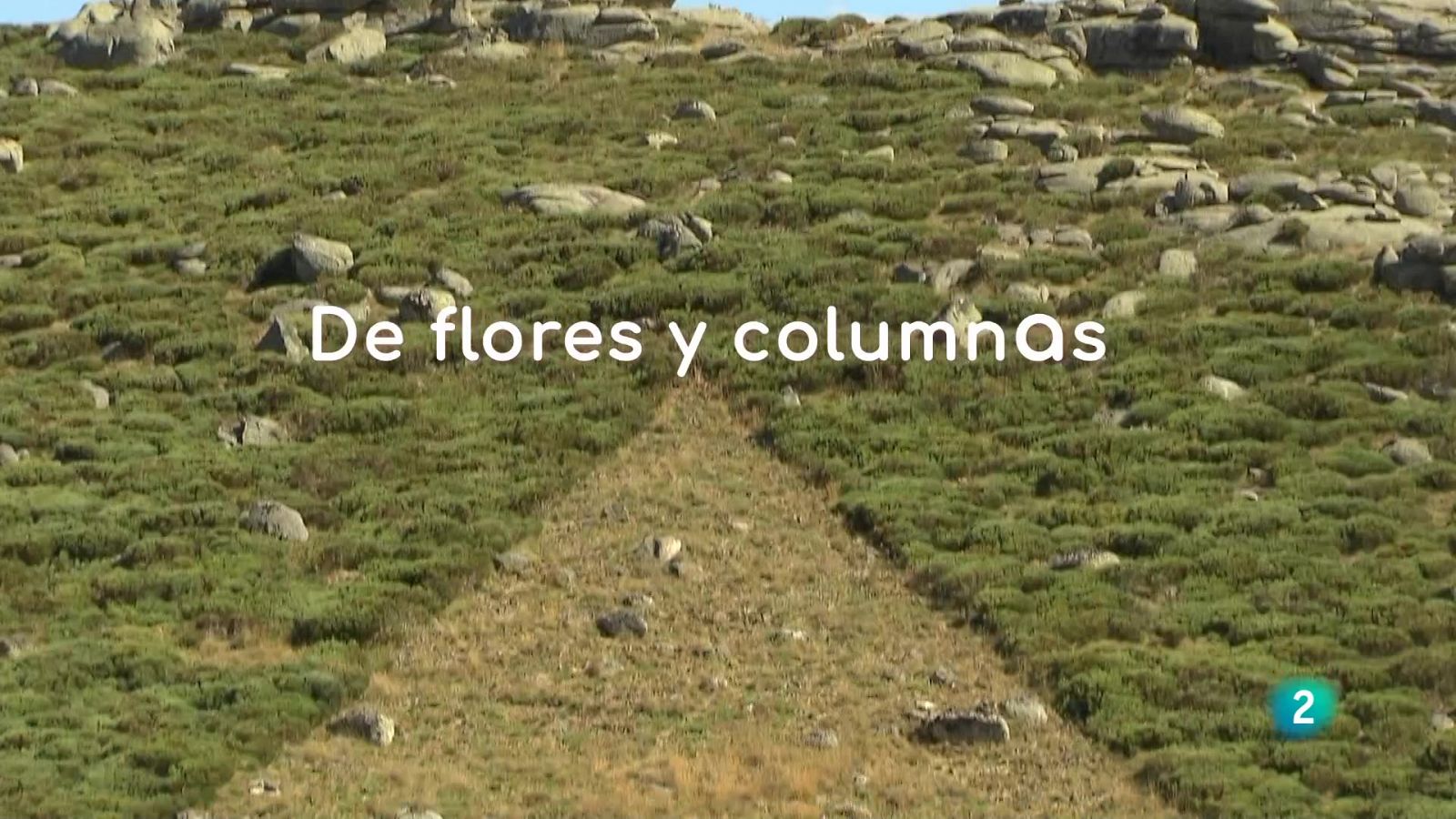 De flores y columnas, arte en la naturaleza