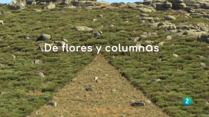 La aventura del Saber - De flores y columnas