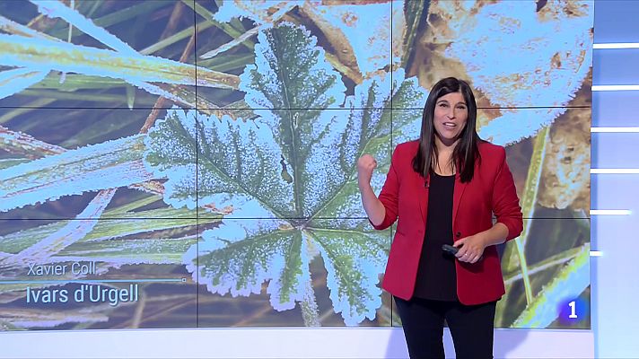 El temps - Sol i bonança a migdia, boira i fred matinal