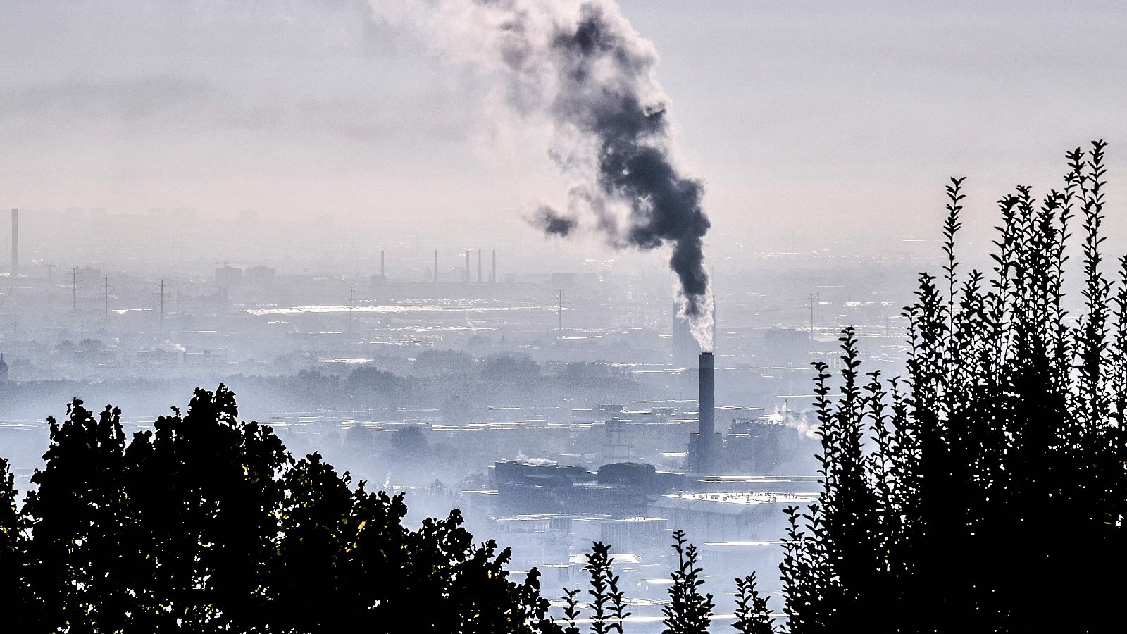 Nuevo récord de los gases de efecto invernadero en 2020