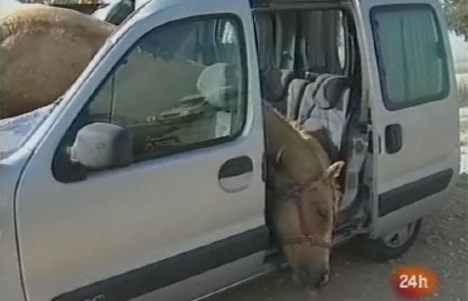 Espeluznante accidente en Israel
