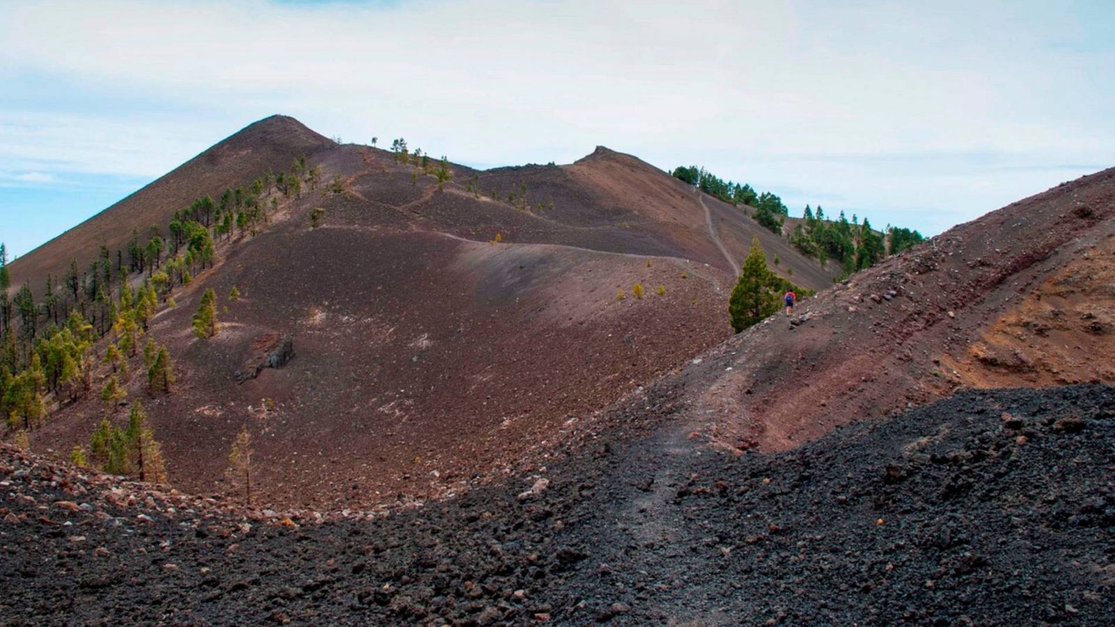 Expertos aconsejan cómo actuar ante seísmos en La Palma - RTVE.es