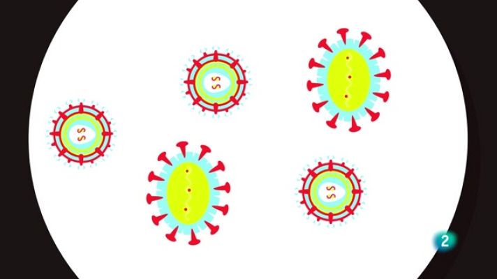 La aventura del Saber - ¿La falta de vacunación puede hacer volver enfermedades?