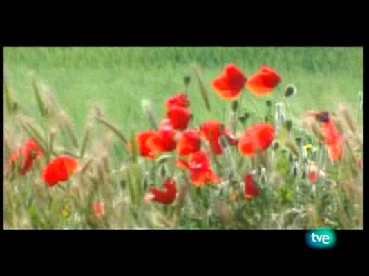 La frontera invisible - Pícaros y poetas