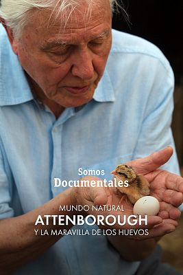 Somos Documentales - Mundo natural: Attenborough y la maravilla de los huevos