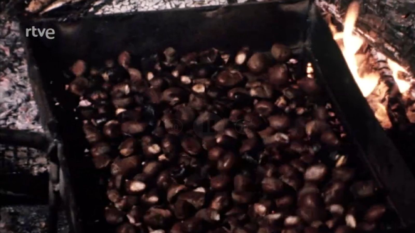 Arxiu TVE Cataluya - Catalunya i Balears, avui - Juneda, Perafita, Cerdanya i Francesc de B. Moll