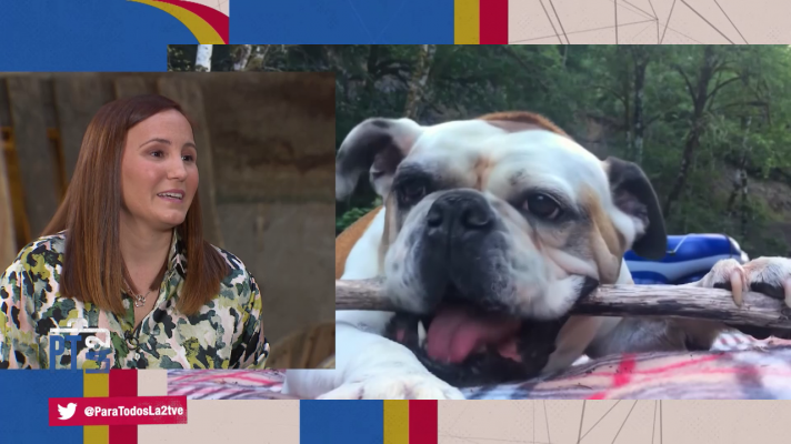 Para todos La 2 - Cuando ya no estás. Duelo por un animal de compañía