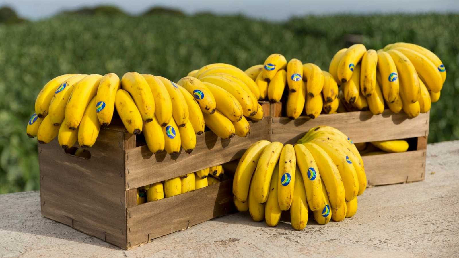 ¿Es verdad que el plátano engorda?