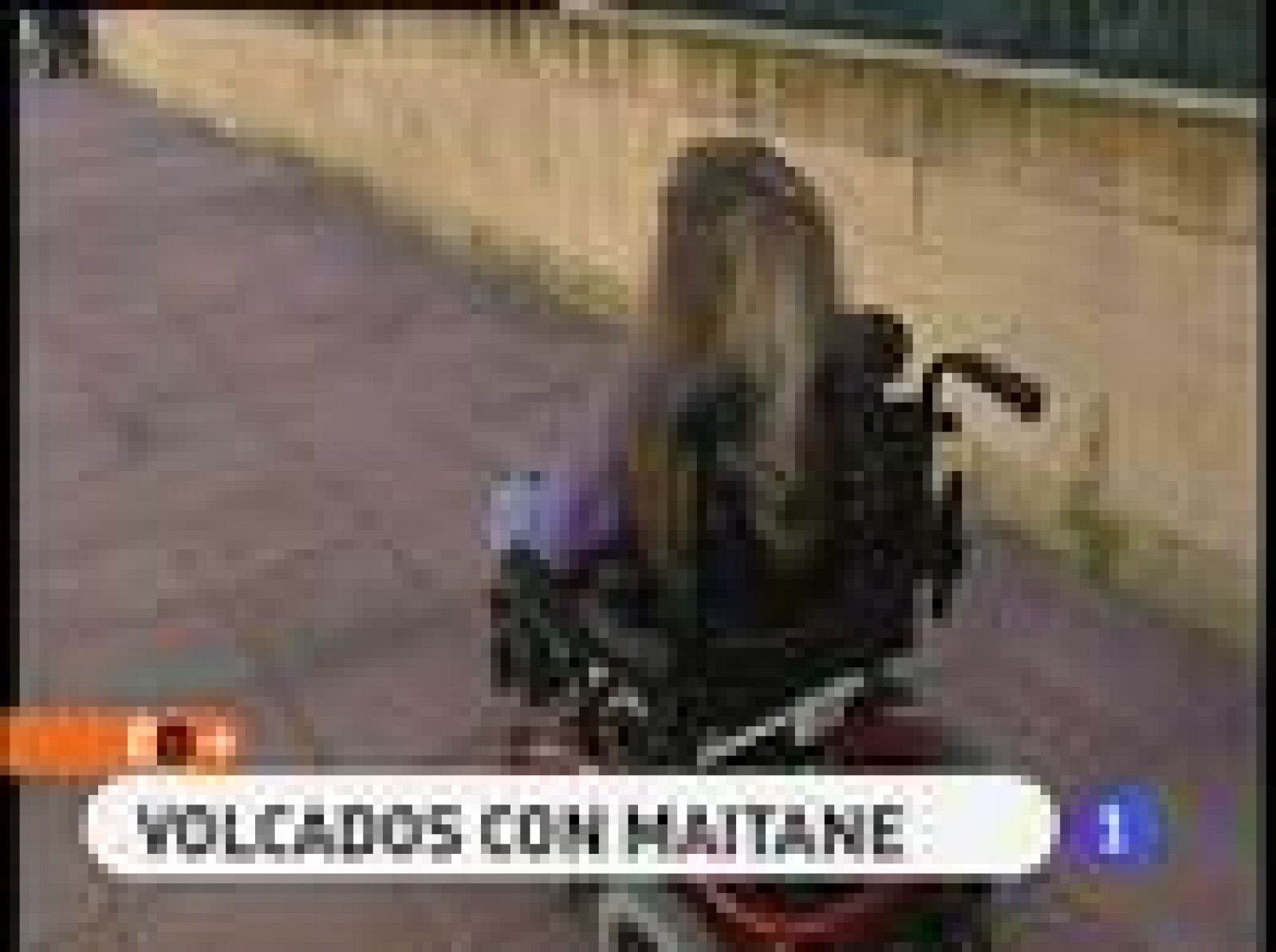 España Directo: Volcados con Maitane | RTVE Play