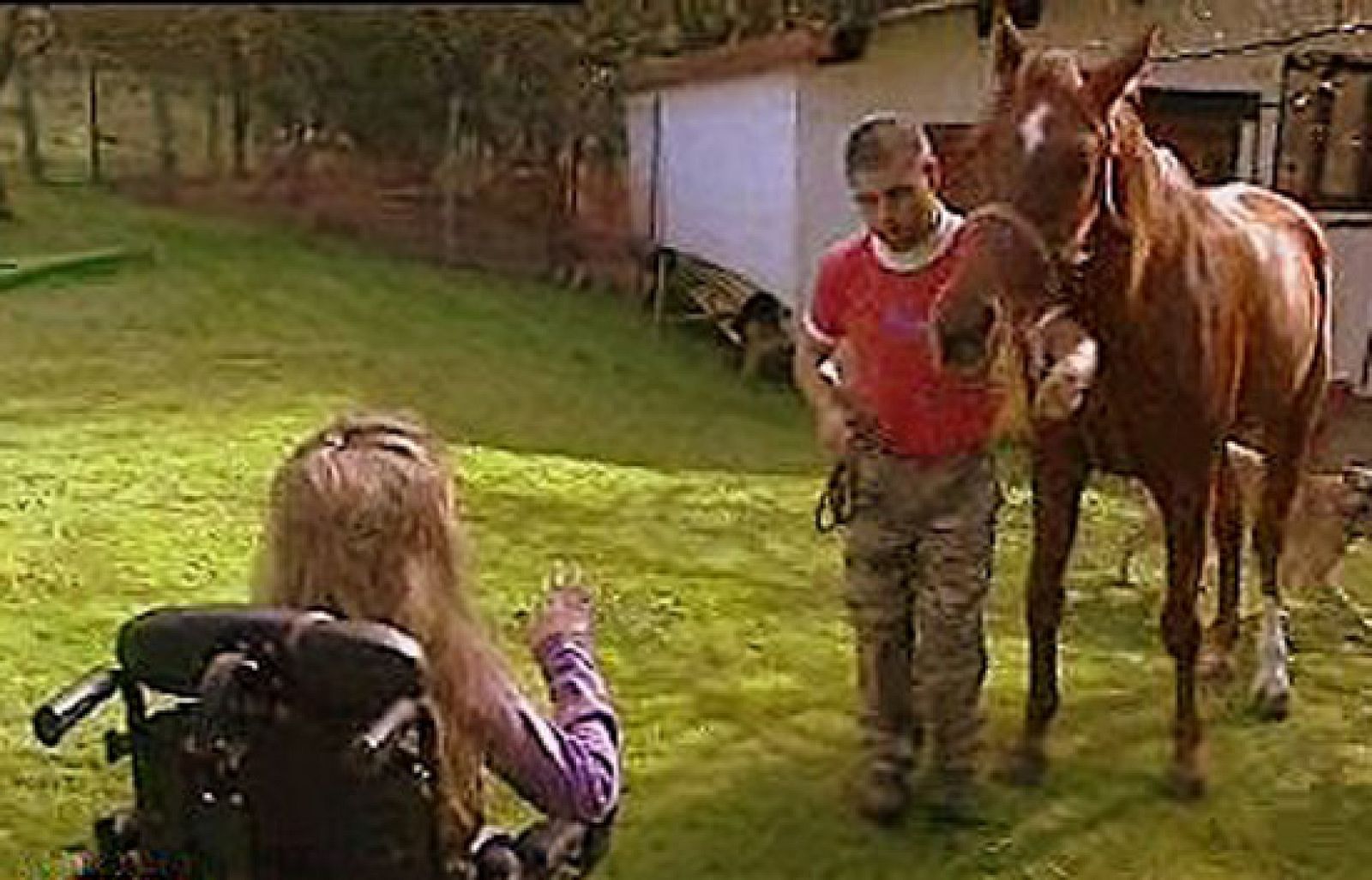 España Directo - Volcados con Maitane | Ver