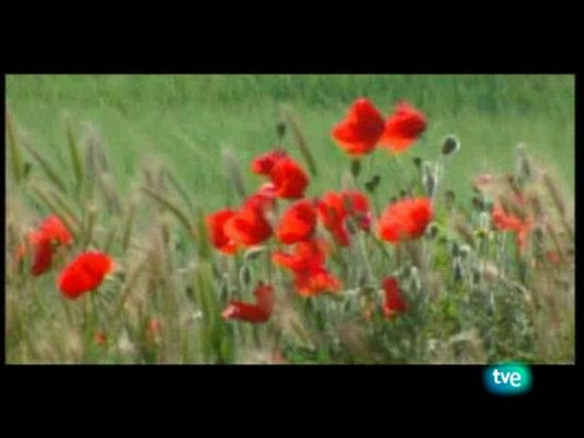 La frontera invisible - El fuego redentor