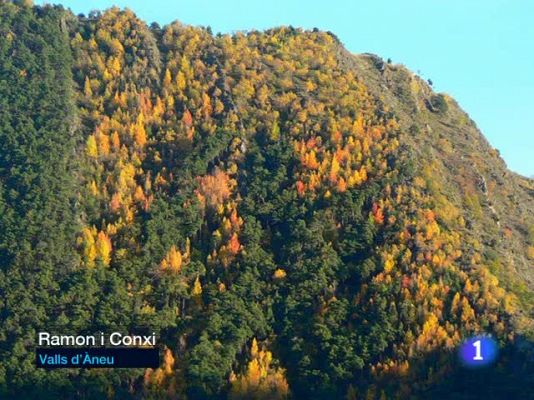 L'Informatiu - El temps migdia - 29/10/09