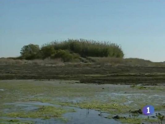 Noticias de Castilla-La Mancha - Noticias de Castilla-La Mancha - 29/10/09