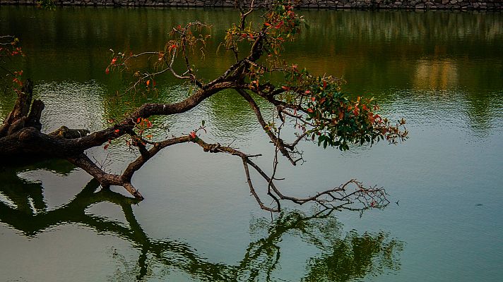 Viaje al pasado de las ciudades 2 - Hué. Vietnam a la orilla del río